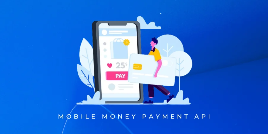 mobile money payment api