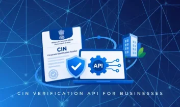 cin verification api for businesses